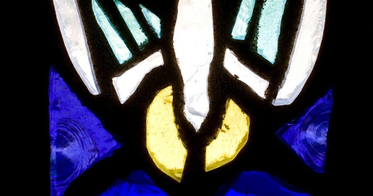 Stained glass image of a dove